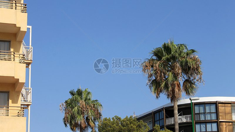 行业背景：民宿托管运营的兴起